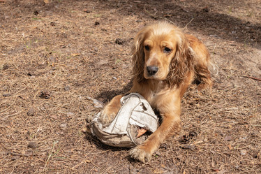 Similar image 21123676