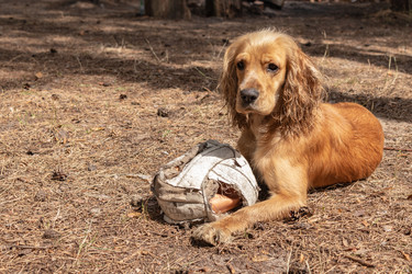 Similar image 21123677