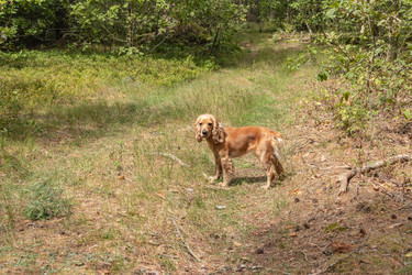 Similar image 21123678