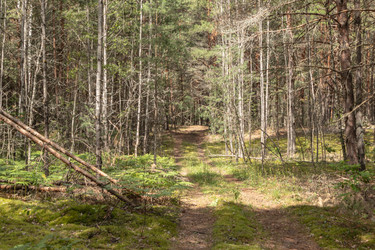 Similar image 21123679