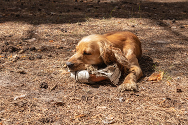 Similar image 21123680