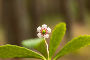 Similar image 21123681