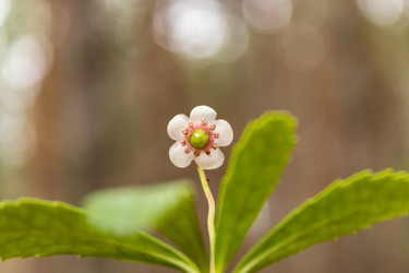 Similar image 21125167