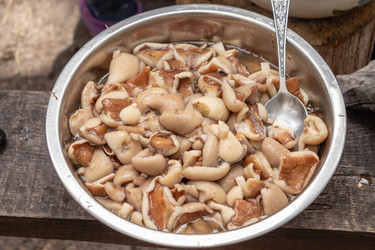 Similar image 21125168