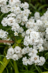 Similar image 21125175