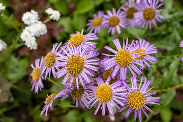 Similar image 21125176