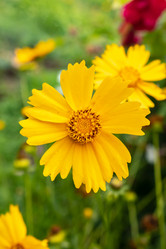 Similar image 21125177