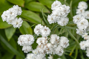 Similar image 21125178