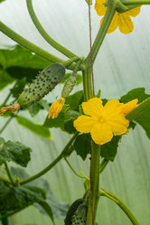 Similar image 21125179