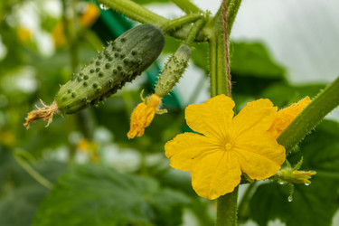 Similar image 21125180