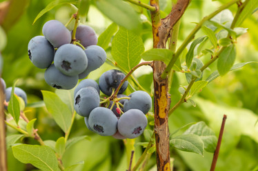 Similar image 21125181