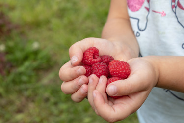 Similar image 21125184