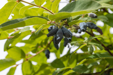 Similar image 21125351