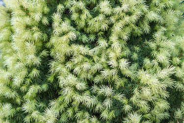 Similar image 21125353