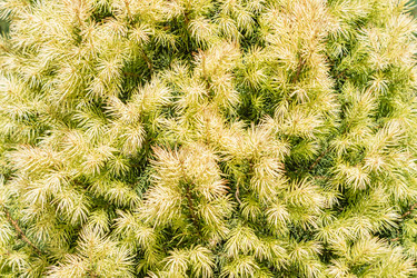 Similar image 21125354