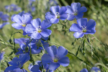 Similar image 21125357