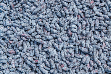 Similar image 21125359