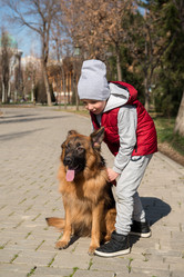 Similar image 21093858