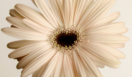 Similar image 21093870