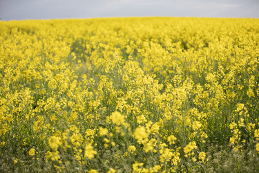 Similar image 21081483