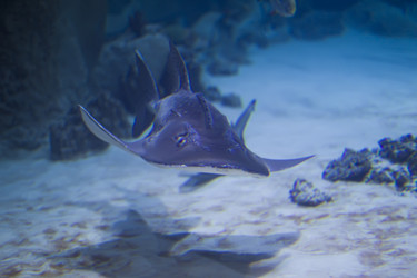 Similar image 21081596