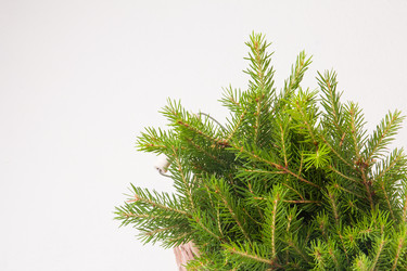 Similar image 21087780