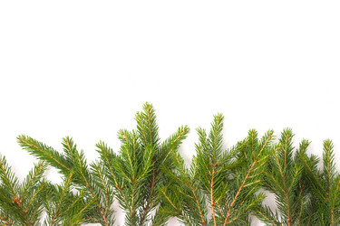 Similar image 21087782