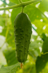 Similar image 21120318