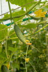 Similar image 21120622