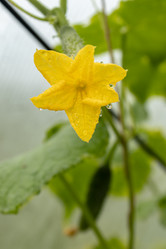 Similar image 21120624