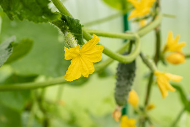 Similar image 21120626