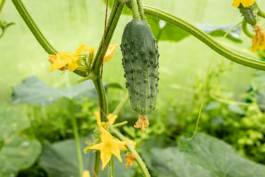 Similar image 21120629