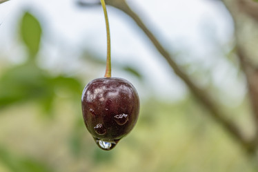 Similar image 21120631