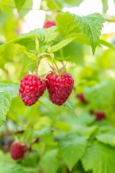 Similar image 21120633