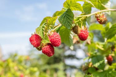 Similar image 21120763