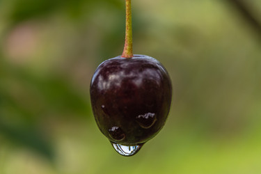 Similar image 21120764