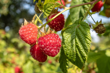 Similar image 21120765