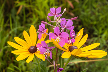 Similar image 21120766