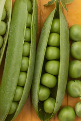 Similar image 21120768