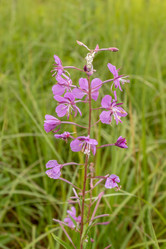 Similar image 21120773