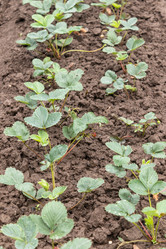 Similar image 21120775