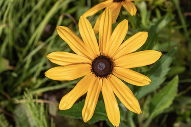 Similar image 21120777