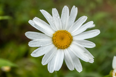 Similar image 21120780