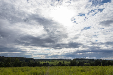 Similar image 21120781