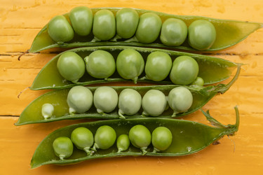 Similar image 21120783