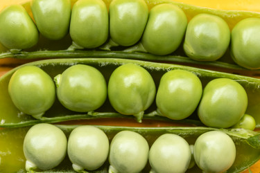 Similar image 21120784