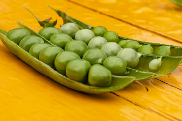 Similar image 21120788