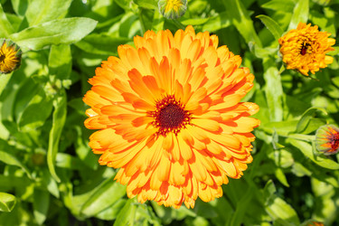 Similar image 21120789