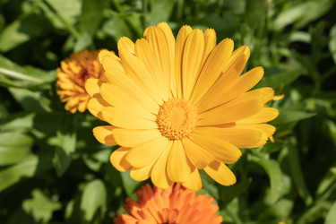 Similar image 21120791