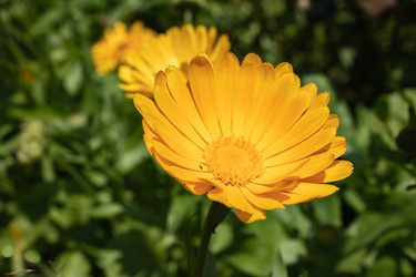 Similar image 21120792